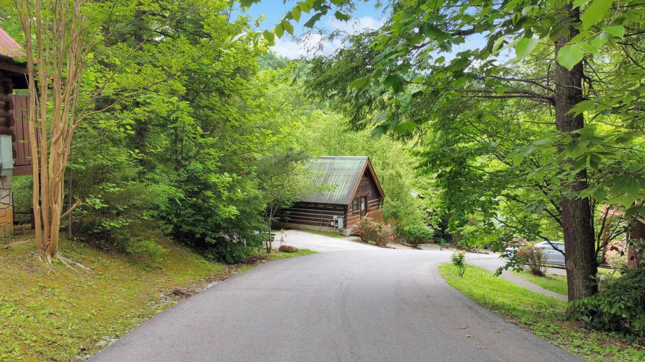 Cozy Nest Cabin — photo 11