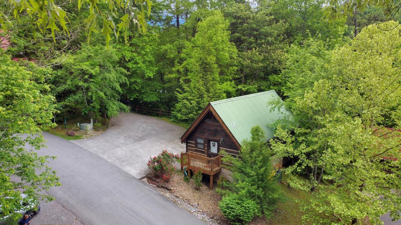 Cozy Nest Cabin — photo 10