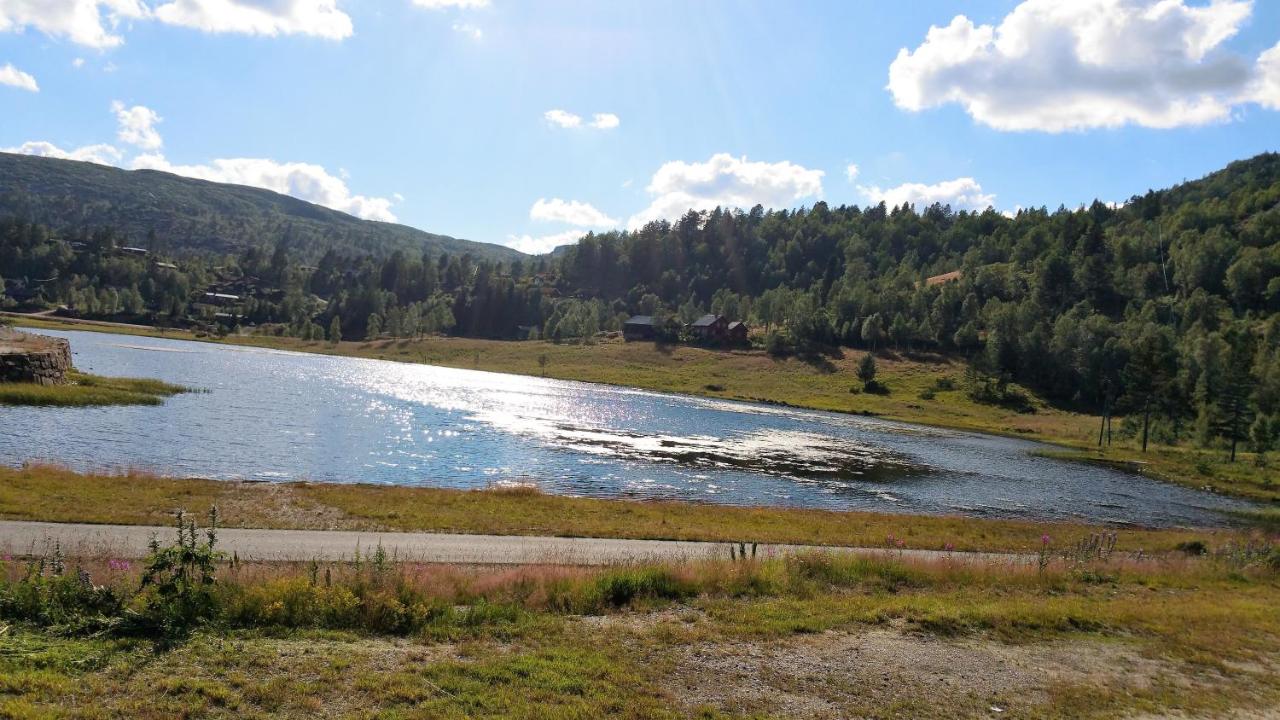 Beach: Bortelid Booking