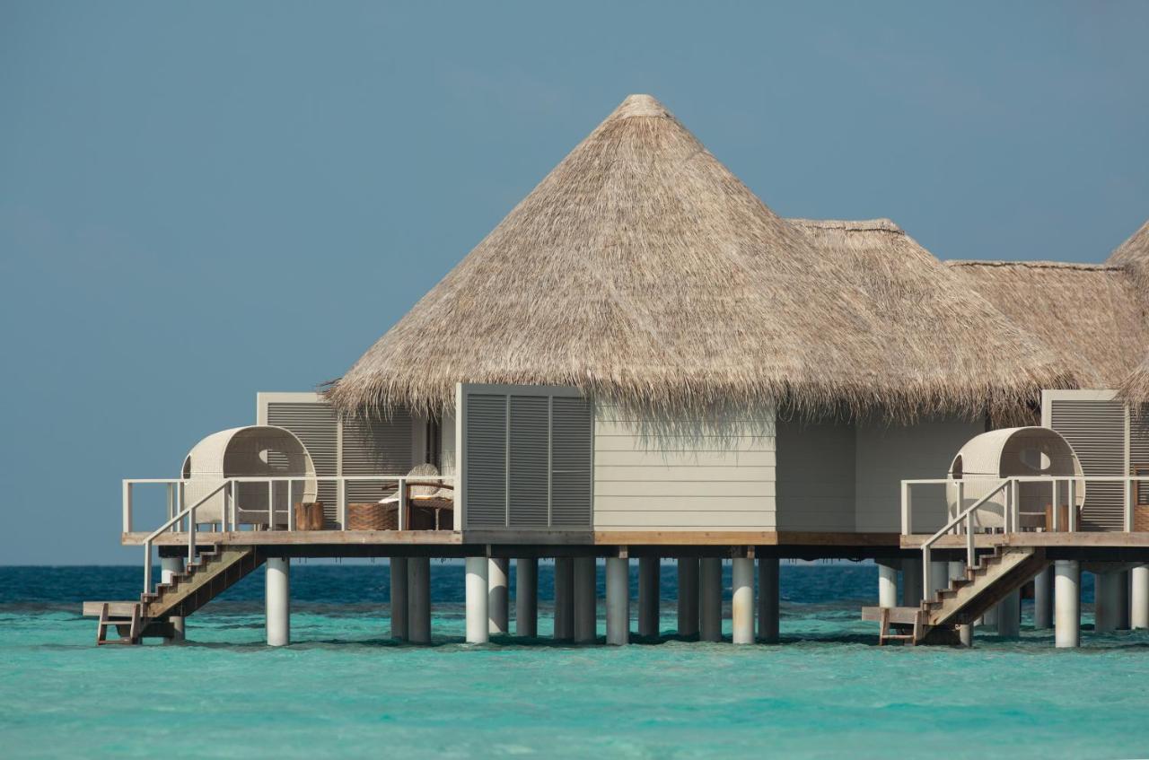 Drift Thelu Veliga Retreat - 2