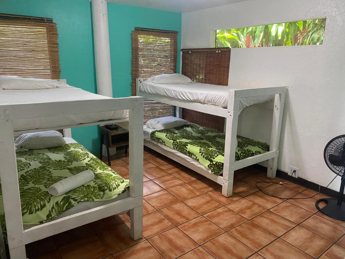 Backpackers Vacation Inn and Plantation Village — photo 12