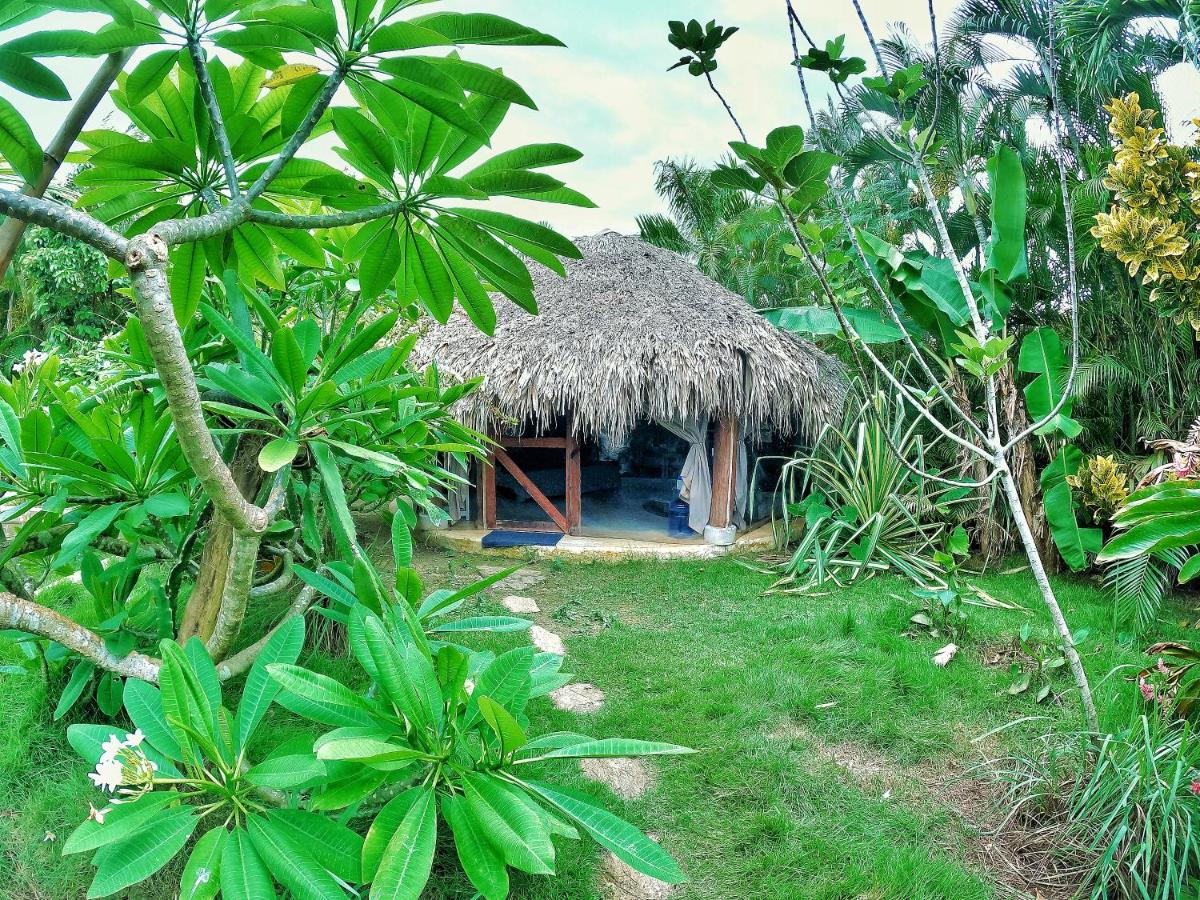 Jungle Hut near Beach - Nature Lovers - 3
