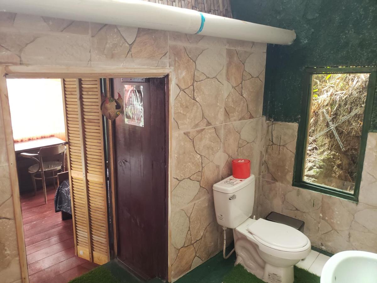 Blue Mountain Wilderness Retreat Jamaica House - 3