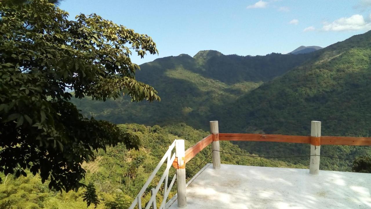 Blue Mountain Wilderness Retreat Jamaica House - 4