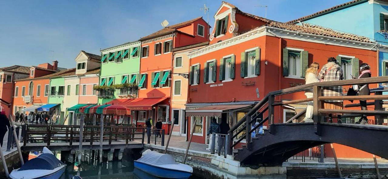 Marina's Venice garden - 5