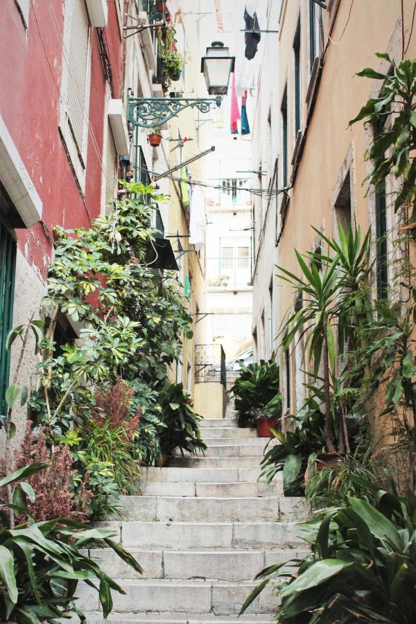 Lov'Alfama, at home in Lisbon Apartments - 3