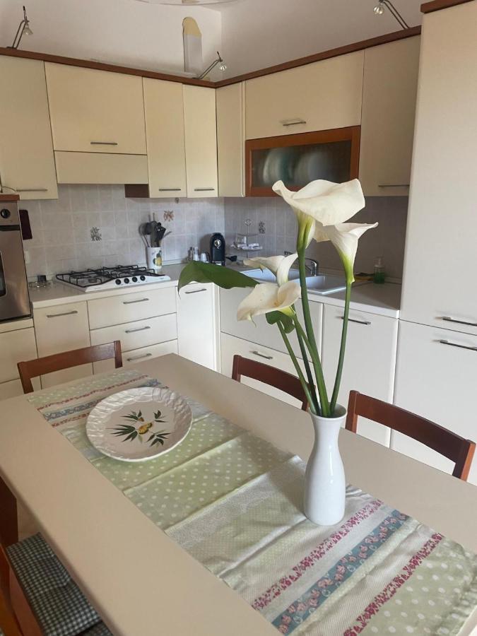 Marina's Venice garden