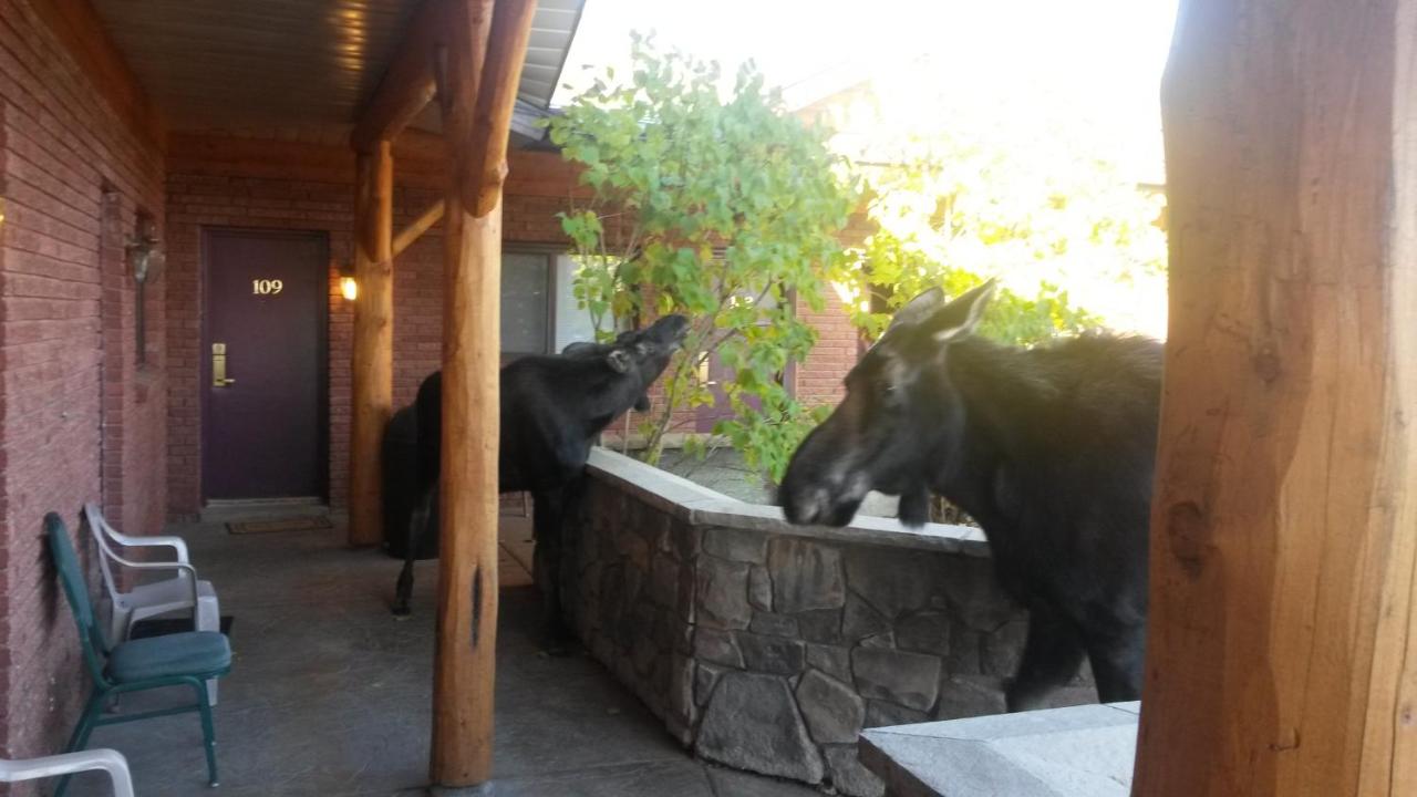 Sundance Motel — photo 11