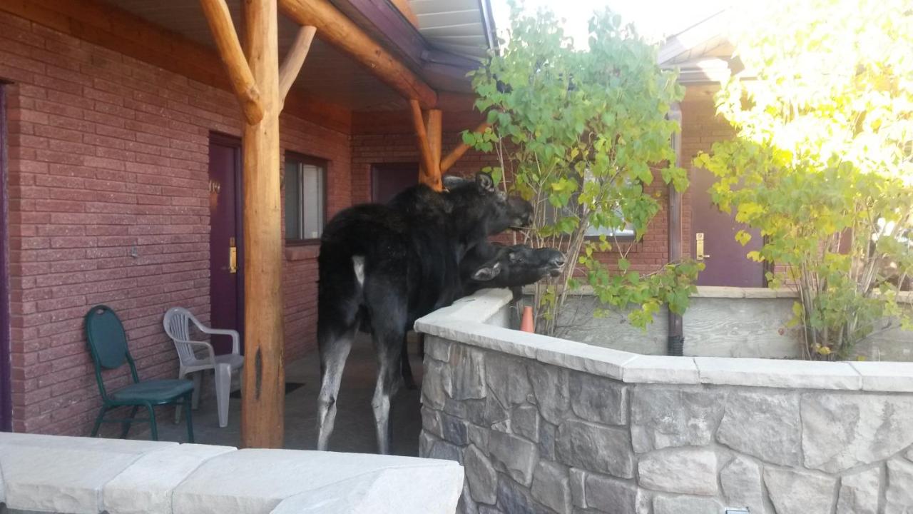 Sundance Motel — photo 13
