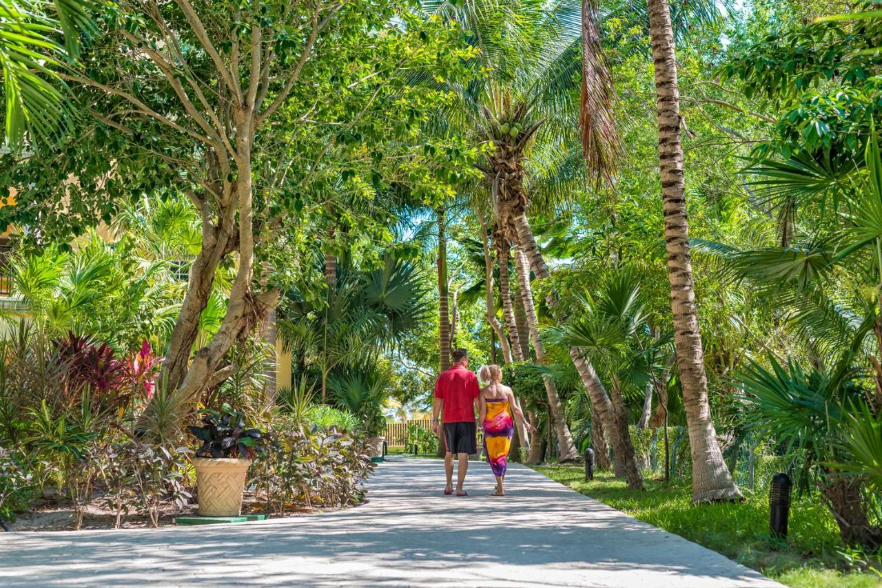 Hotel Marina El Cid Spa & Beach Resort - All Inclusive photo