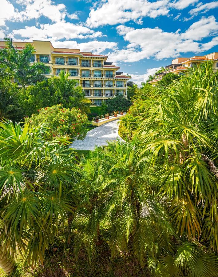 Hotel Marina El Cid Spa & Beach Resort - All Inclusive photo
