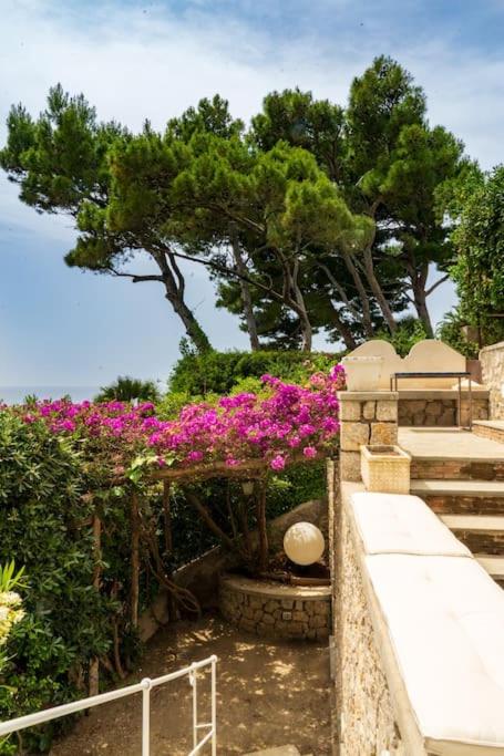 Villa Roccia Di Mare - 5