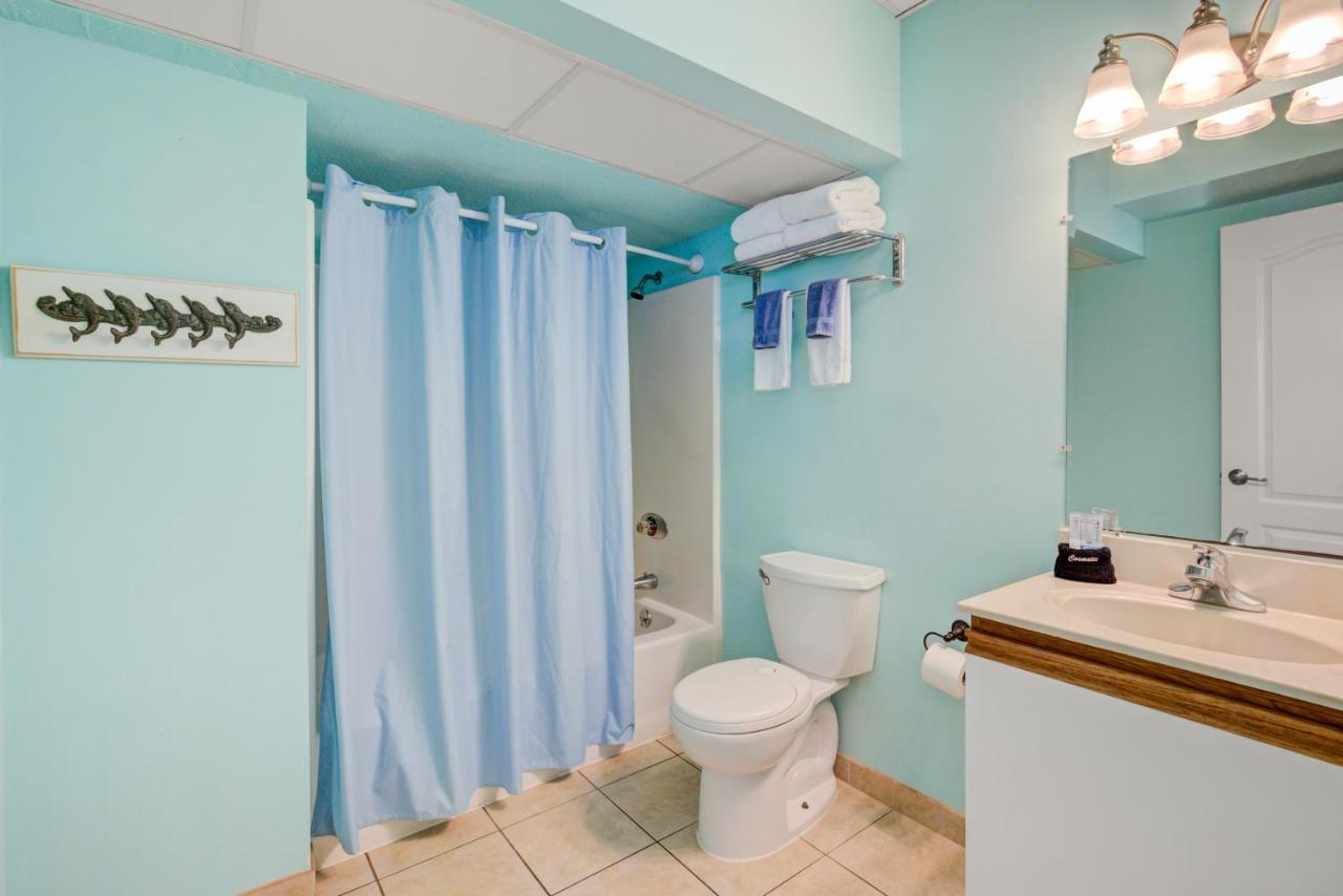 Ocean 7 — photo 20