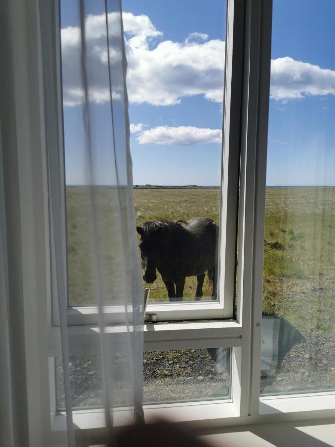 Standard Double or Twin Room with Sea View