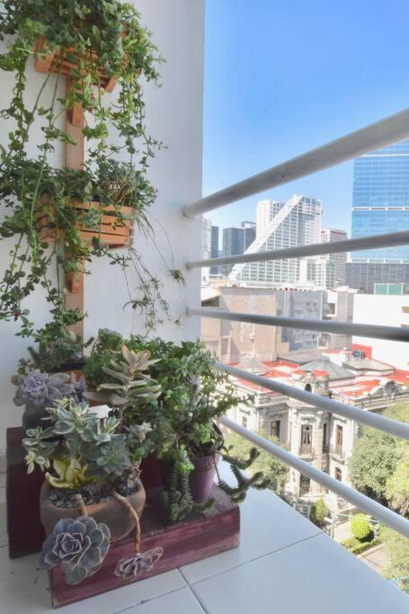 Elevador- Embajada USA a 3 cdras de Reforma - 2