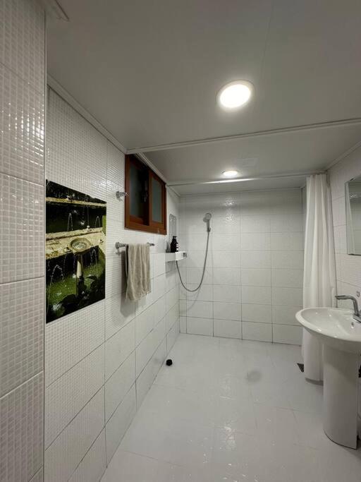 Spring of Donggyo - 3