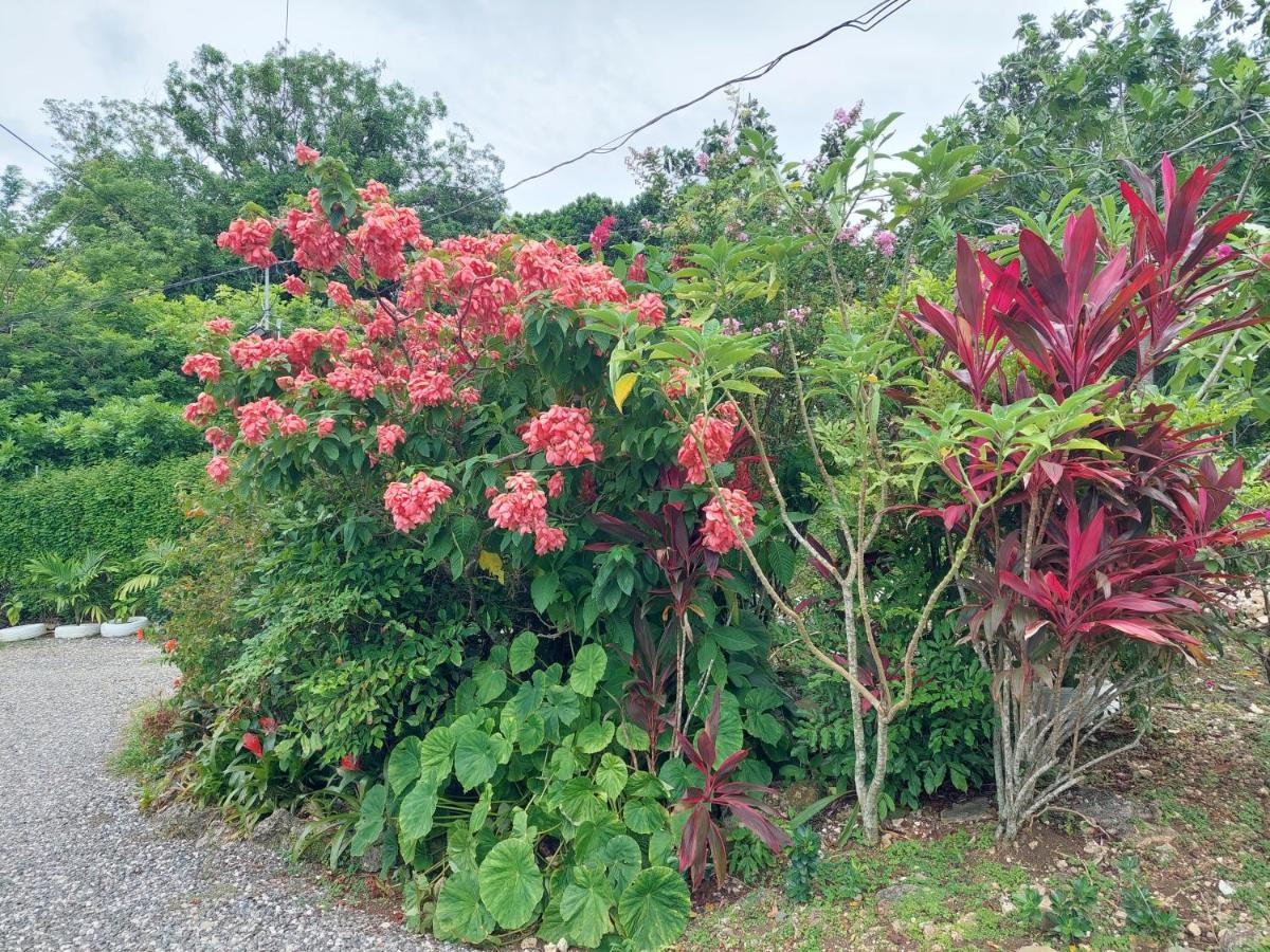 Tim Pappies Nature Lodge - Kai's Place - 2