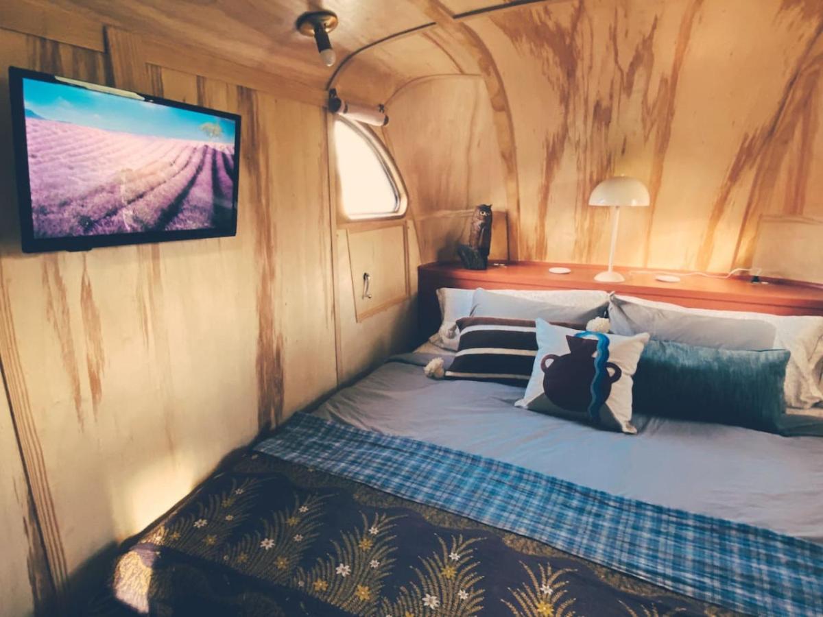 Renovated Spartan VooDoo - 2