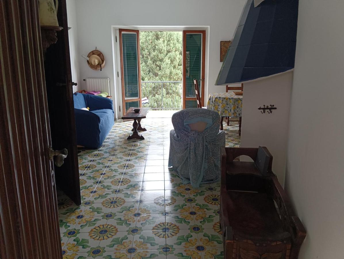 Galia's beach house - 5