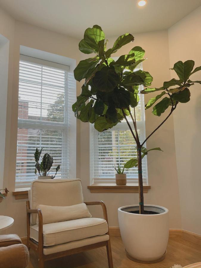 Beautiful Apartment shared with the Host in the Heart of Bushwick - 2