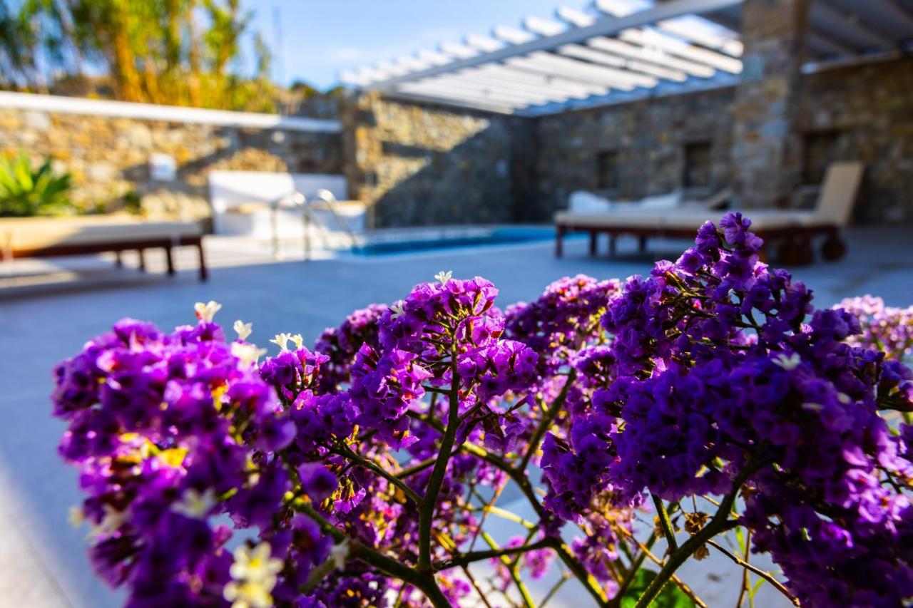 Villa Artemis (Agios Lazaros, Psarou) - 4