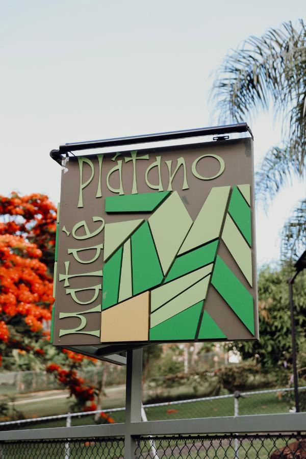 Mata e' Platano Guesthouse - 2