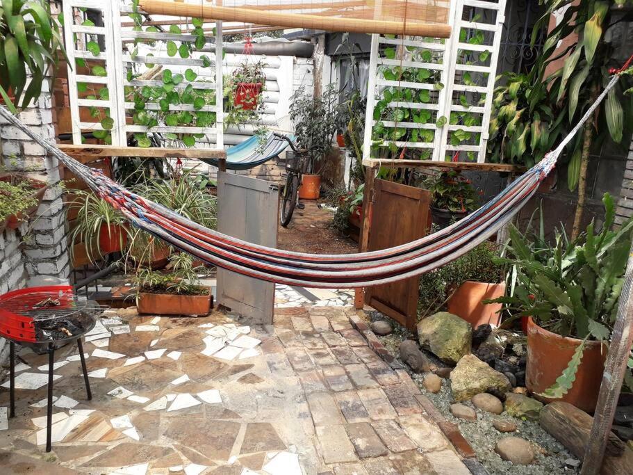 Casa Viva Apartaestudio Terraza - 5