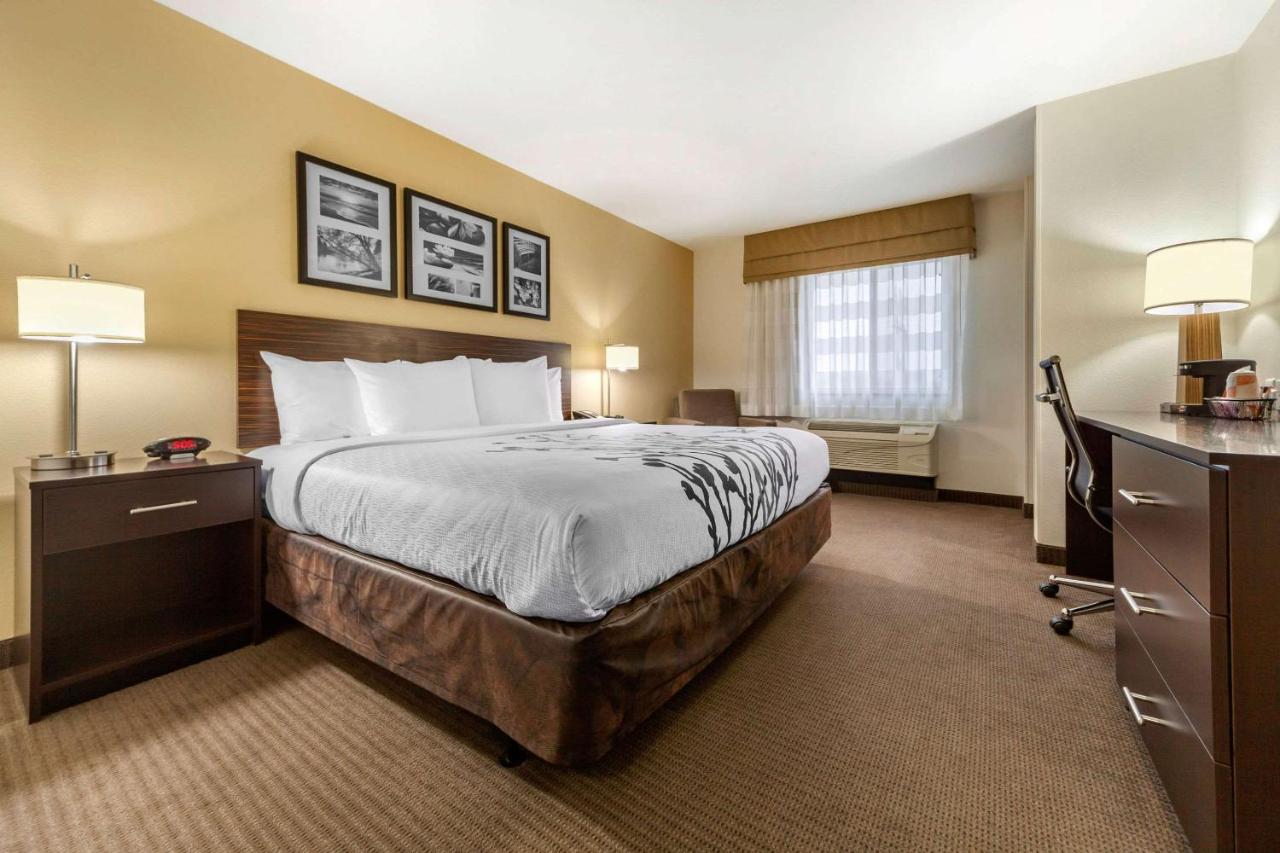 Ideal Inn & Suites — photo 13
