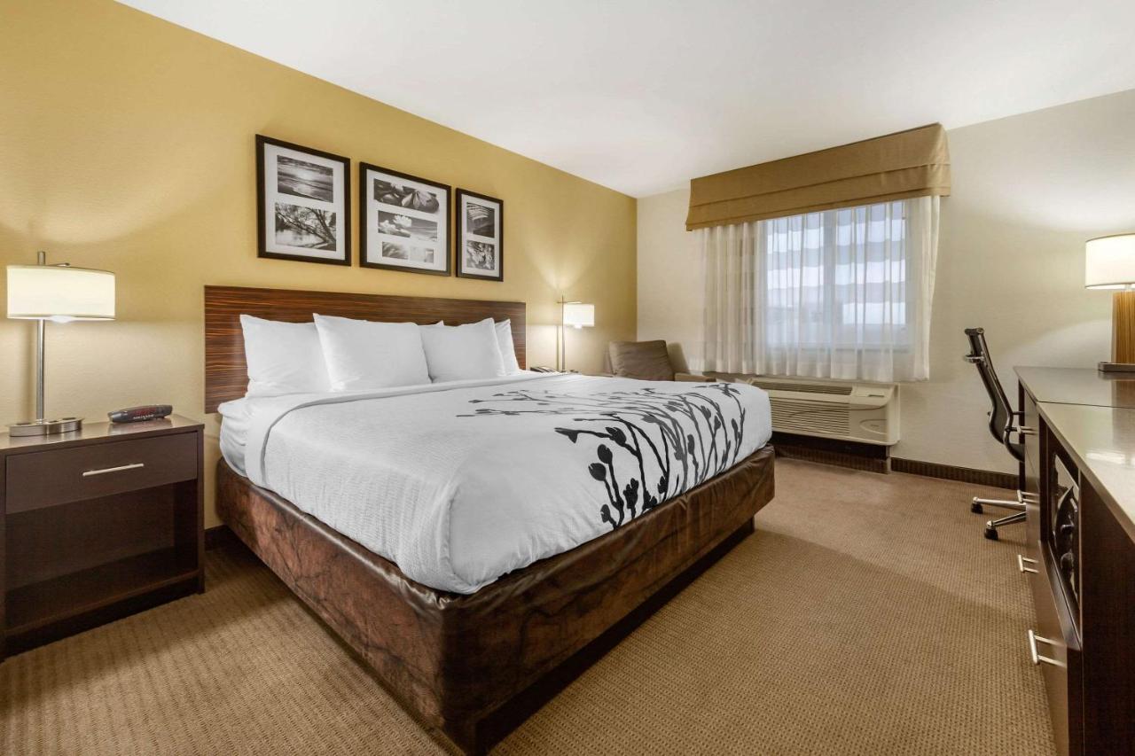Ideal Inn & Suites — photo 21