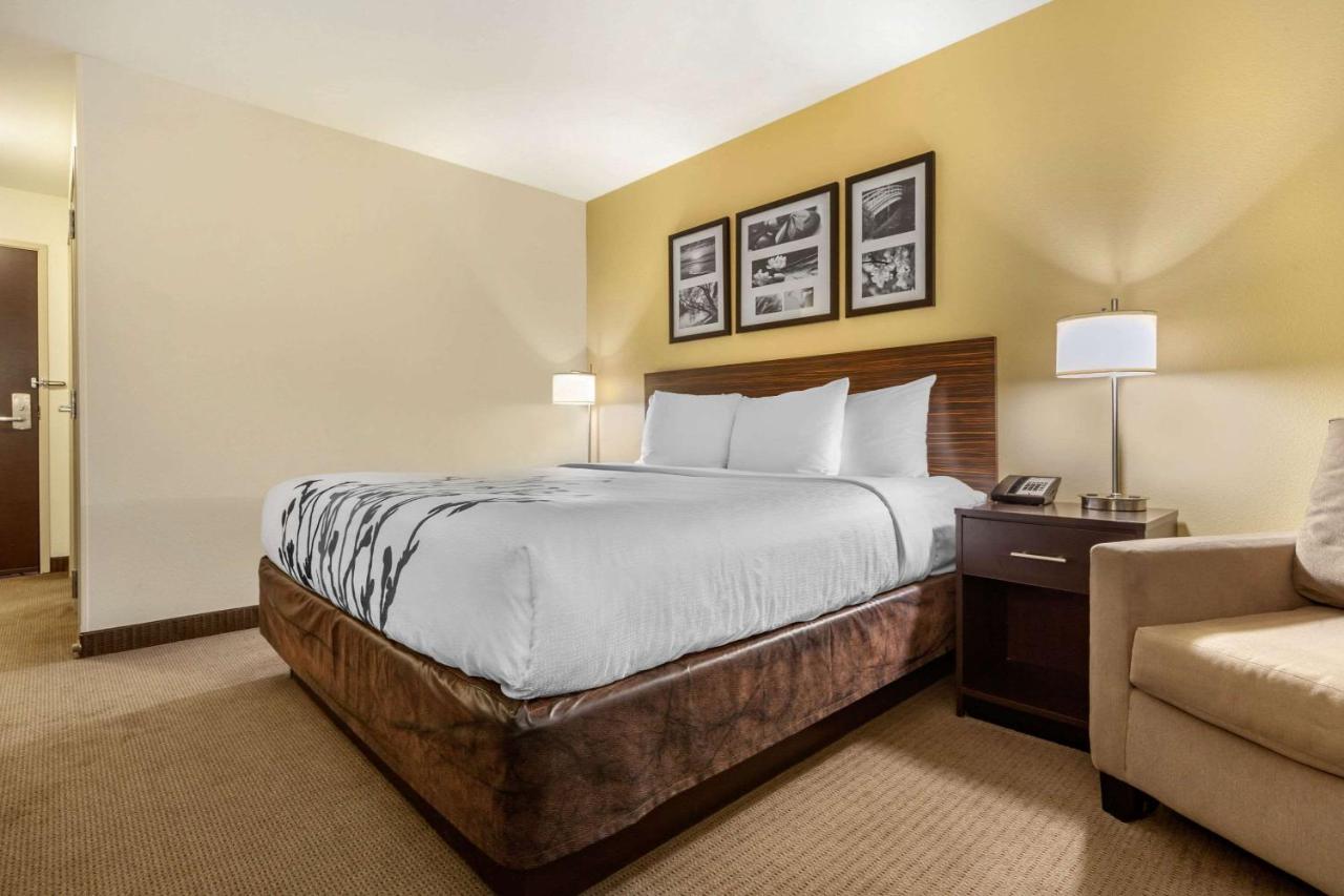 Ideal Inn & Suites — photo 23