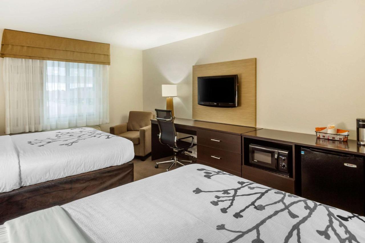 Ideal Inn & Suites — photo 2