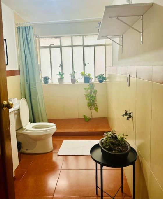 Lindo Departamento en Rio Elba Cuauhtemoc - 2