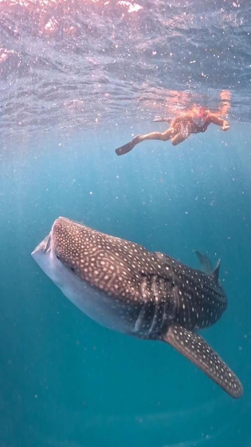 Dhigurah Dhonveli Boutique - 5