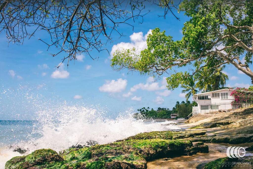 Deep Waterfront west coast 3 bed beach house - 4