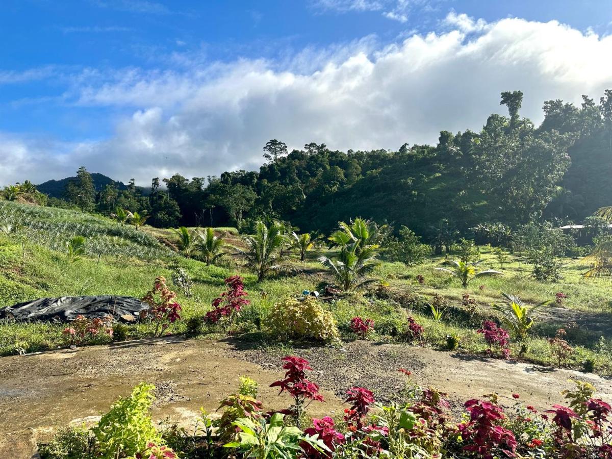 Cosy Farmstay Jasmeeruls Bayt Tuvurara, Savusavu - 3