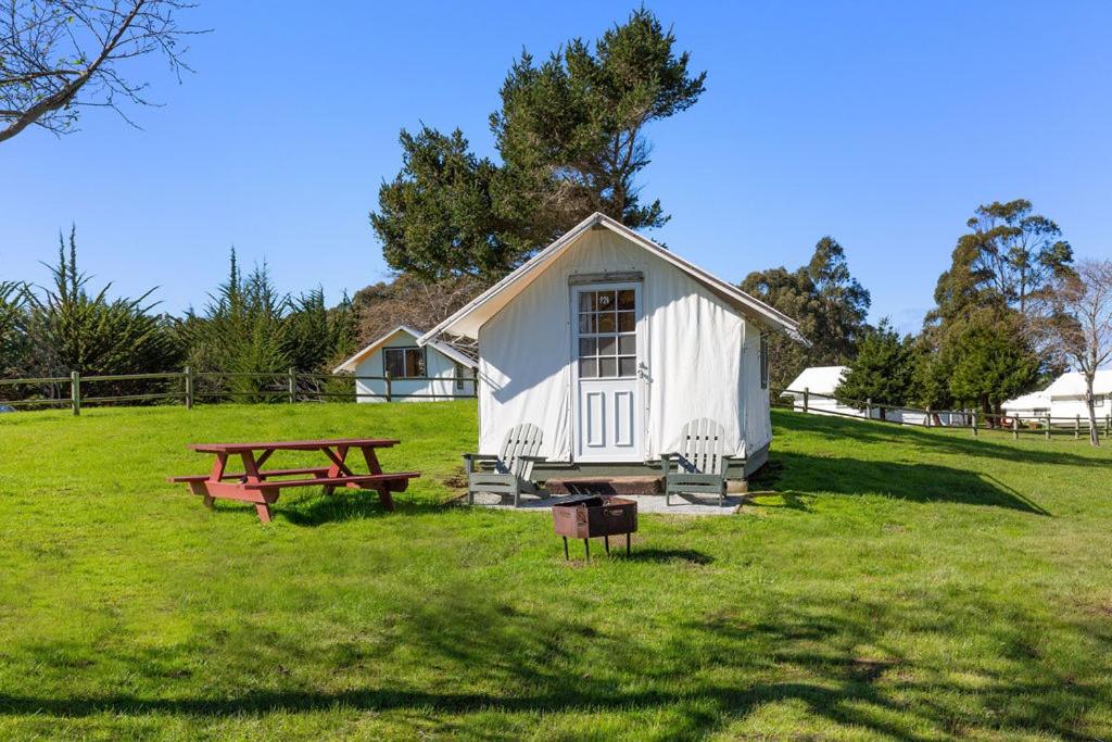 Costanoa — photo 12