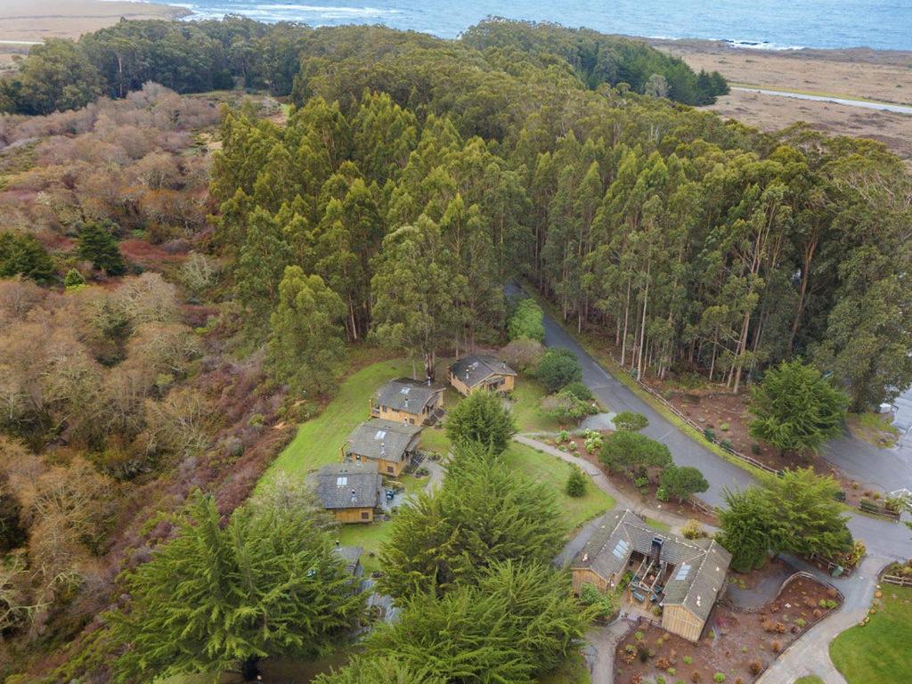 Costanoa — photo 8