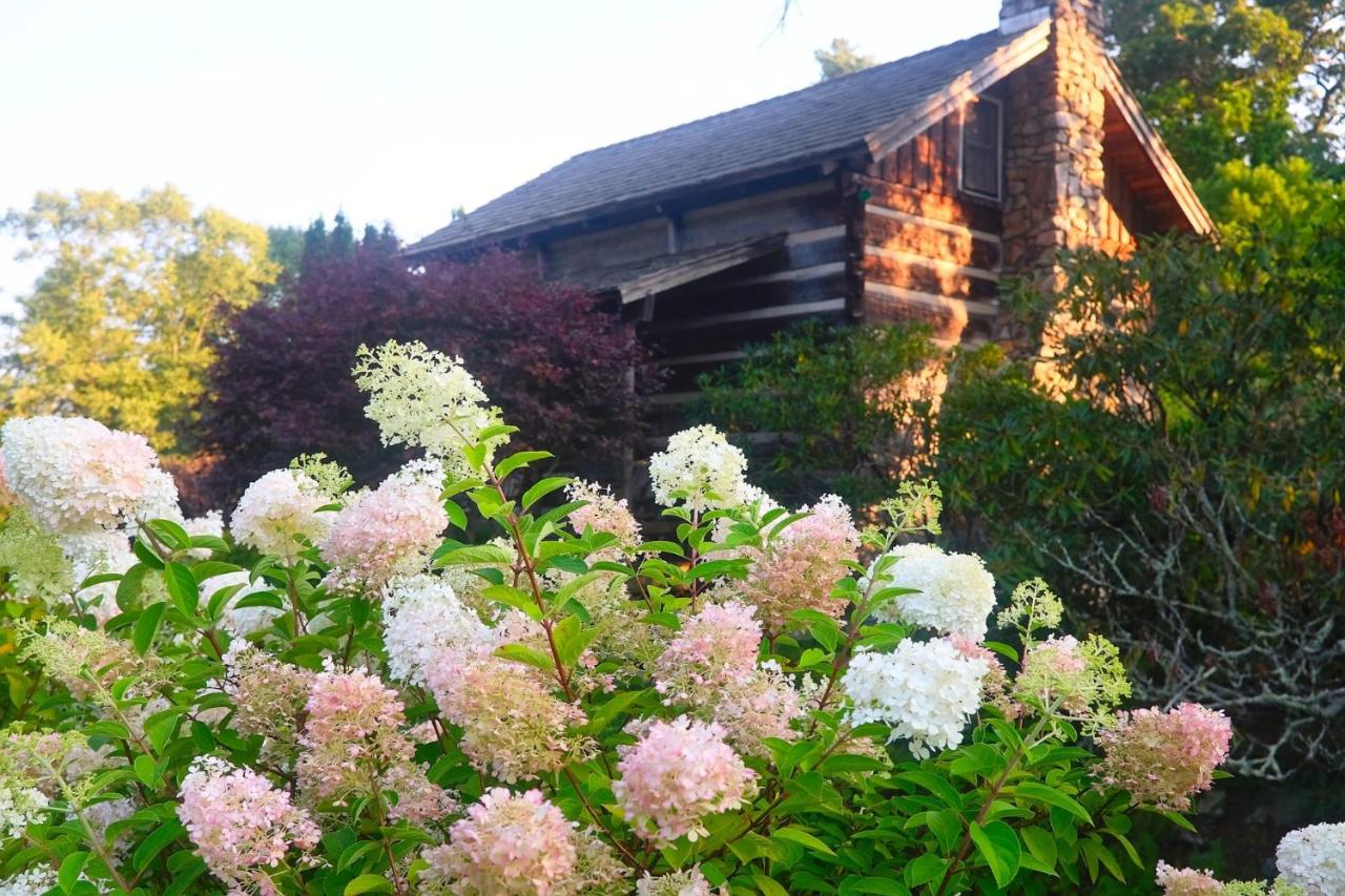 Azalea Garden Inn — photo 14