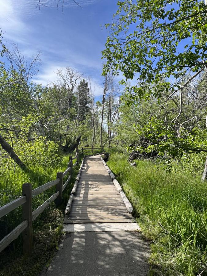 Camp Richardson Resort — photo 18