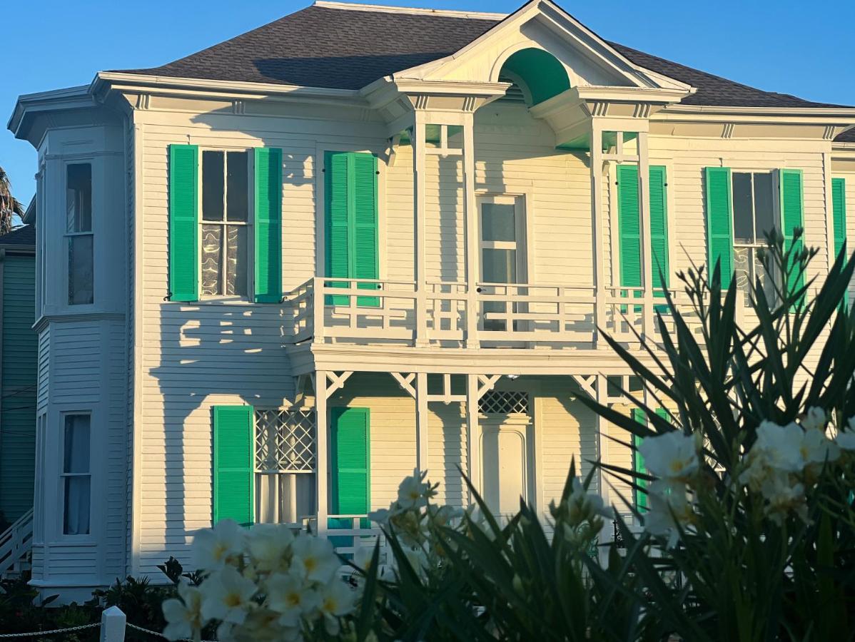 Image: Lotus Galveston