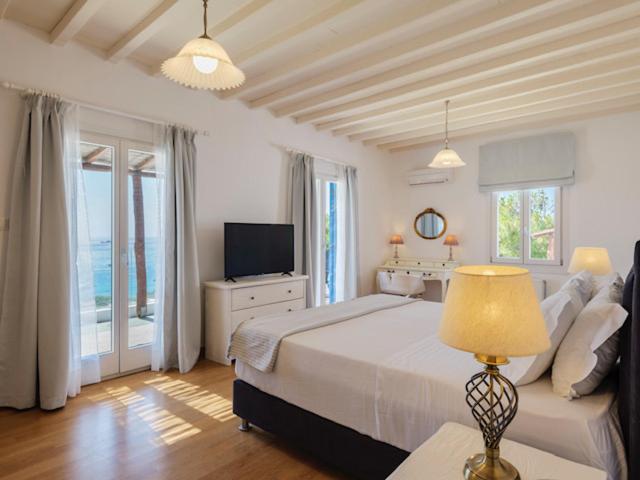 Archon Mykonos Luxury Villa - 2