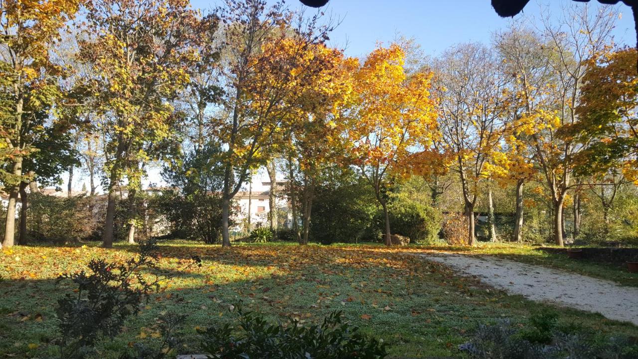 B&B Corte Bezzetti photo