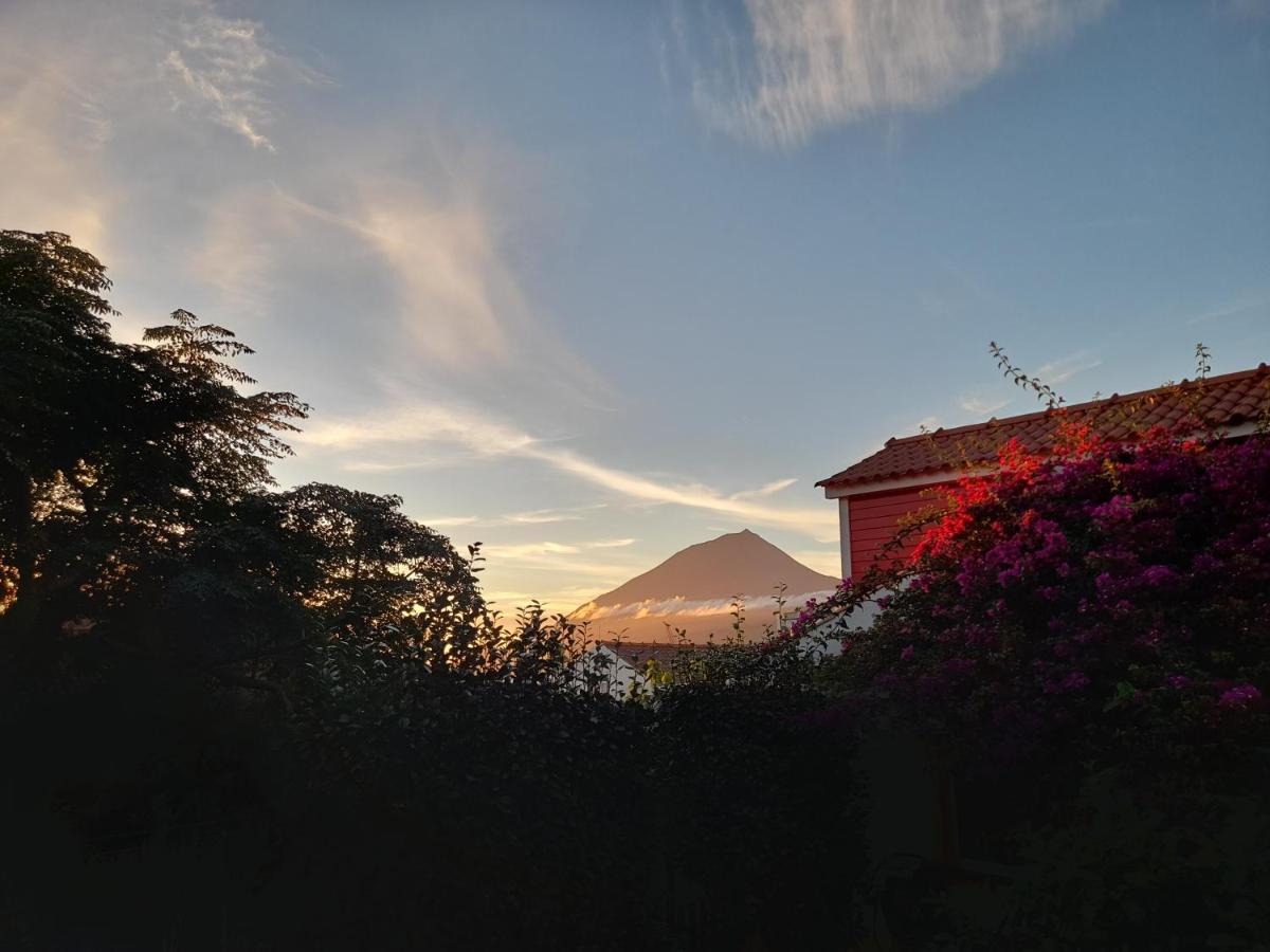 Small Room - FLAMINGA'S PLACE - 5