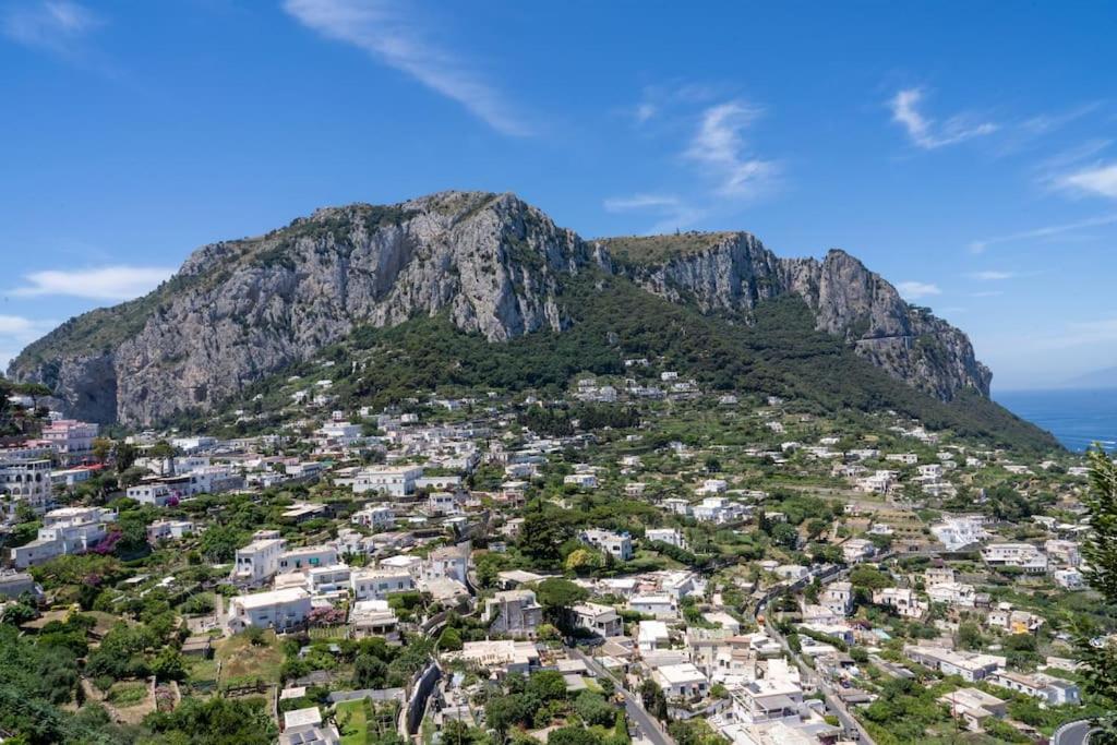 Suite InfiniteView - 3