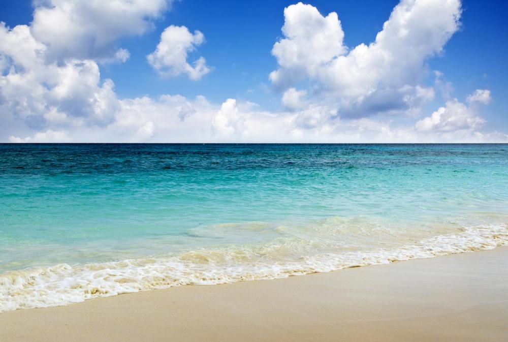 Jupiter Saadiyat Beach New York Abu Dhabi university Studio Apartment - 2