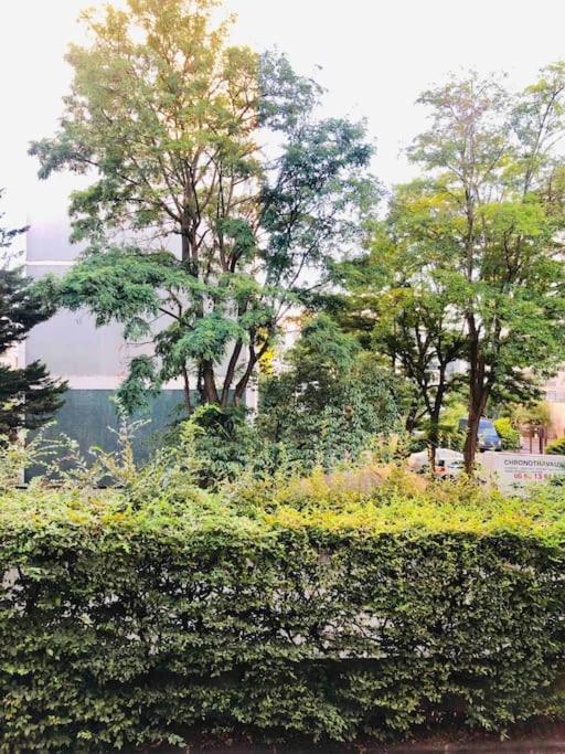 STUDIO, 11, parc de Belleville - 5