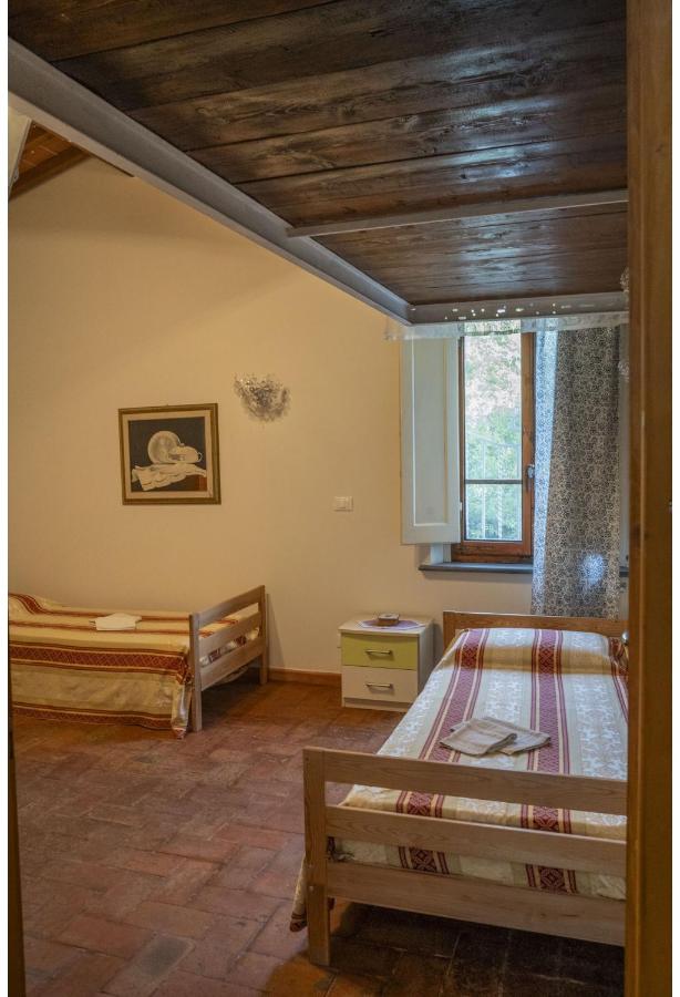 Italian Experience- Podere Vallino - 2