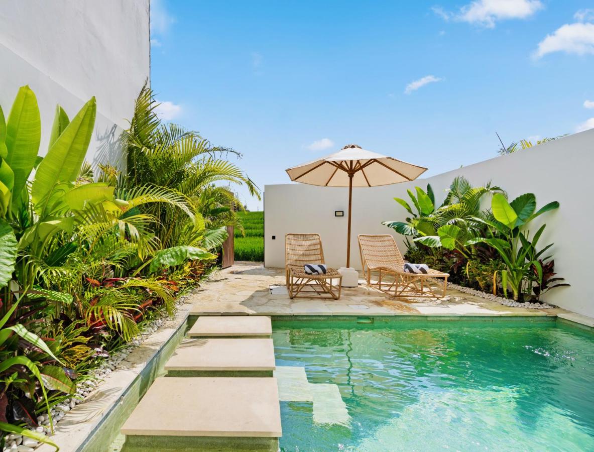 The View - Villa Levante