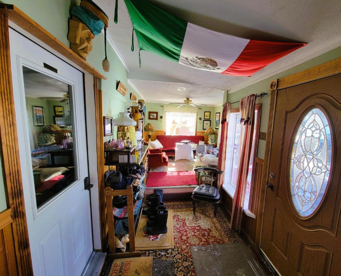 Three Dog Night Hostel — photo 2