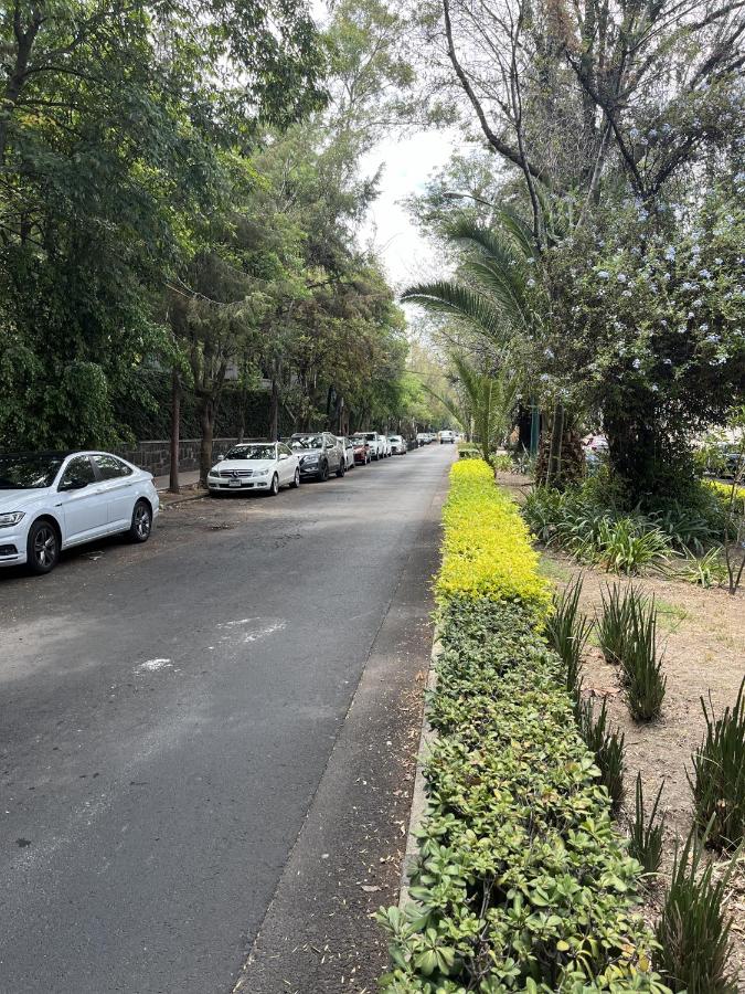 Polanco Prime Location Suites - Near USA Embassy & Citibanamex - 3